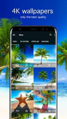 Tropical Wallpapers 4K android App screenshot 4